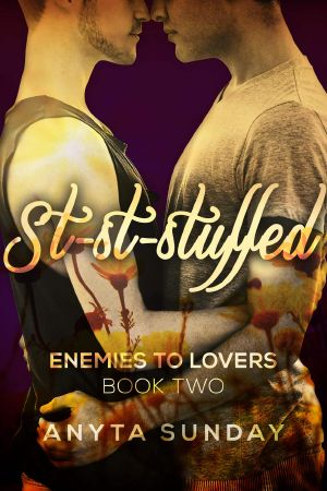 [Enemies to Lovers 02] • St-st-stuffed